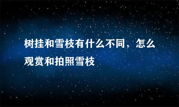 树挂和雪枝有什么不同，怎么观赏和拍照雪枝