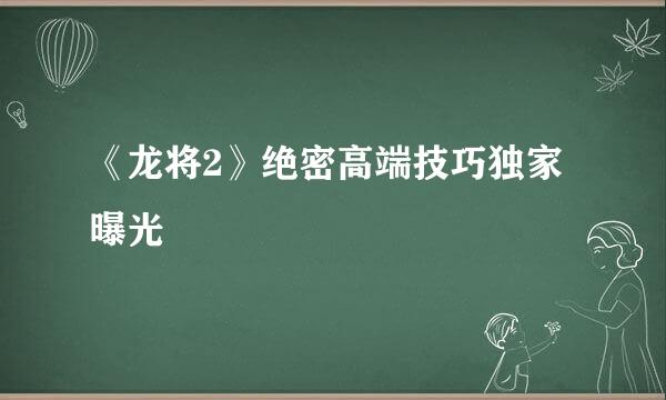 《龙将2》绝密高端技巧独家曝光