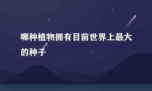 哪种植物拥有目前世界上最大的种子