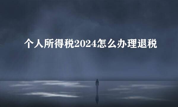 个人所得税2024怎么办理退税