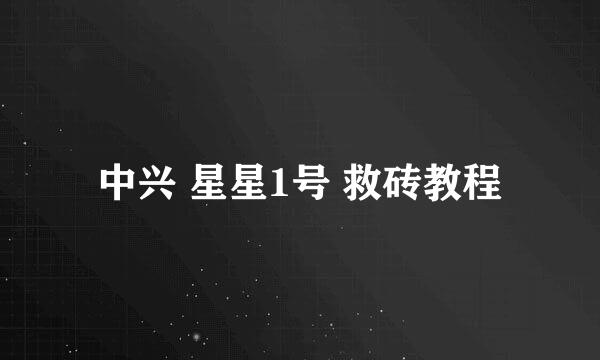 中兴 星星1号 救砖教程