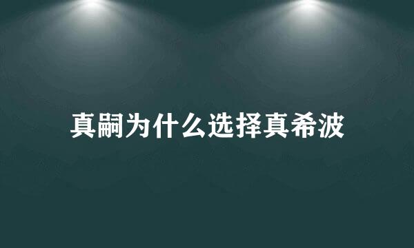 真嗣为什么选择真希波