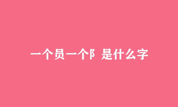 一个员一个阝是什么字