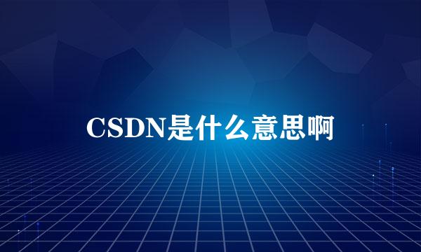 CSDN是什么意思啊
