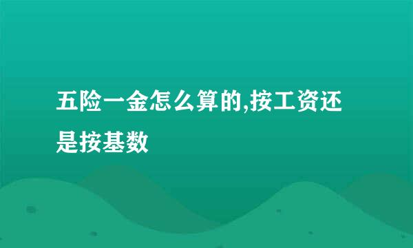 五险一金怎么算的,按工资还是按基数