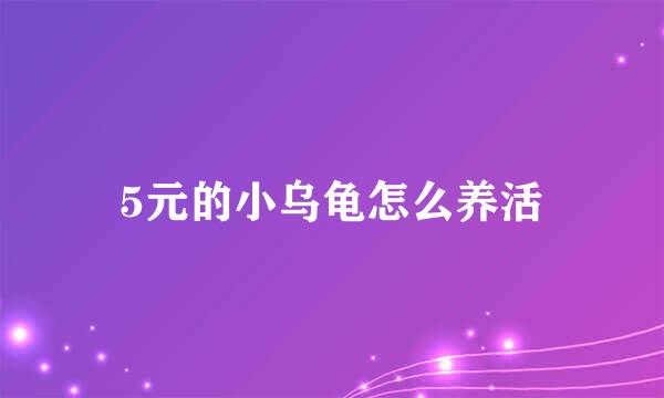 5元的小乌龟怎么养活