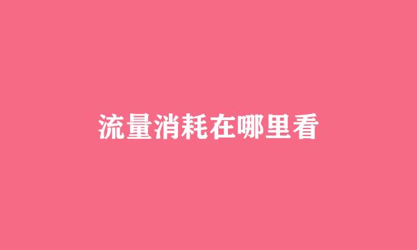 流量消耗在哪里看