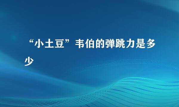 “小土豆”韦伯的弹跳力是多少