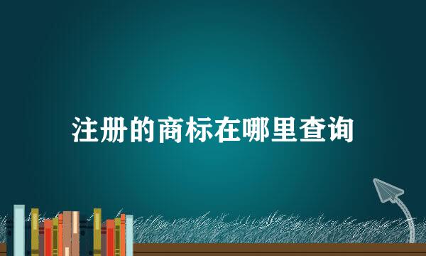 注册的商标在哪里查询