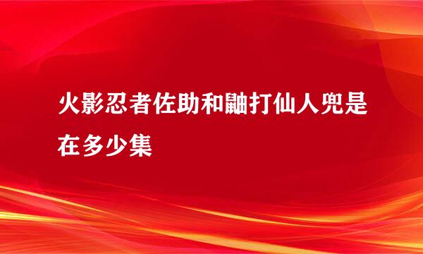 火影忍者佐助和鼬打仙人兜是在多少集