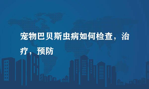 宠物巴贝斯虫病如何检查，治疗，预防