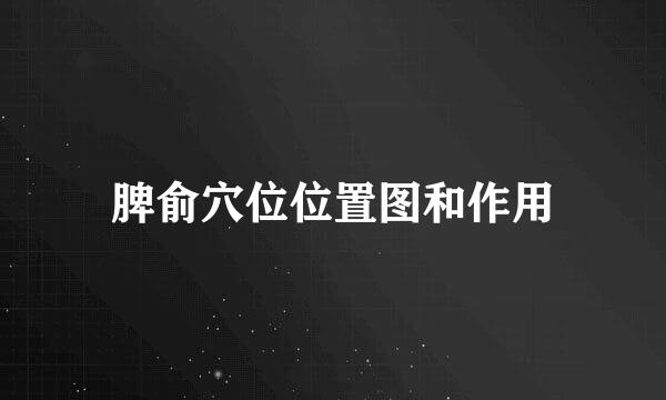 脾俞穴位位置图和作用