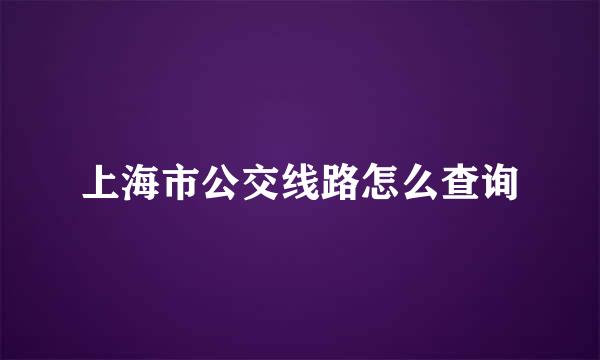 上海市公交线路怎么查询