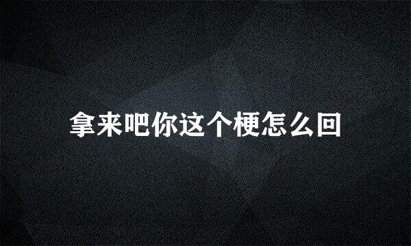 拿来吧你这个梗怎么回