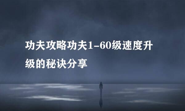 功夫攻略功夫1-60级速度升级的秘诀分享