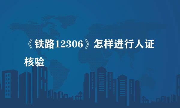 《铁路12306》怎样进行人证核验