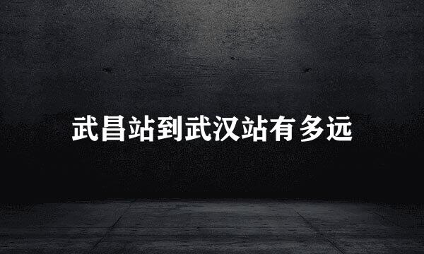武昌站到武汉站有多远