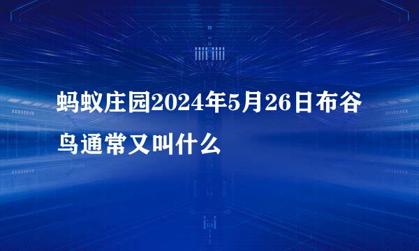 蚂蚁庄园2024年5月26日布谷鸟通常又叫什么
