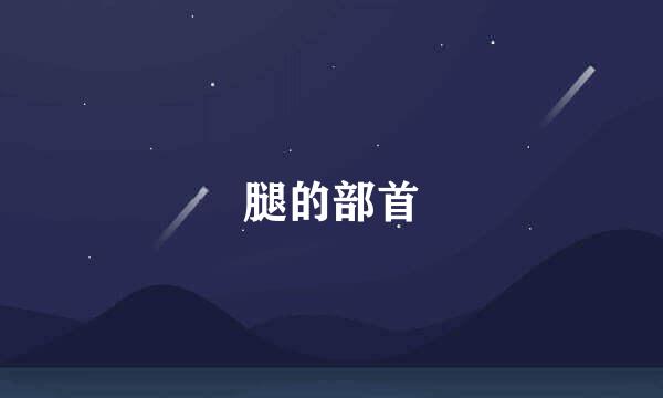 腿的部首