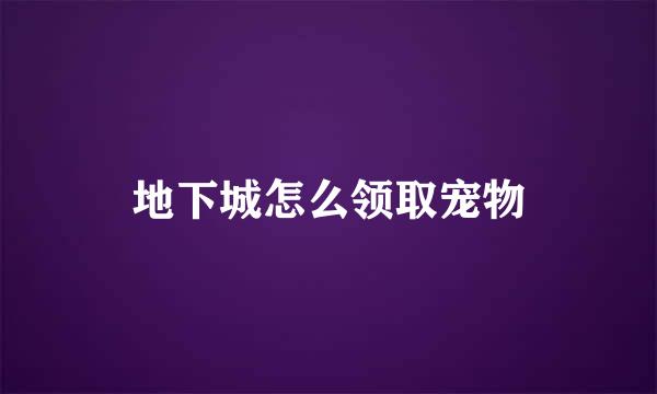 地下城怎么领取宠物