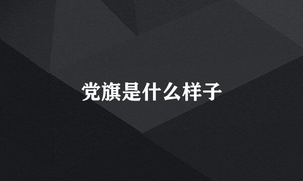 党旗是什么样子