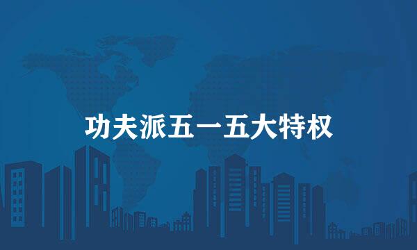 功夫派五一五大特权