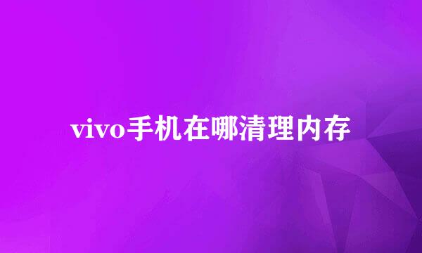 vivo手机在哪清理内存