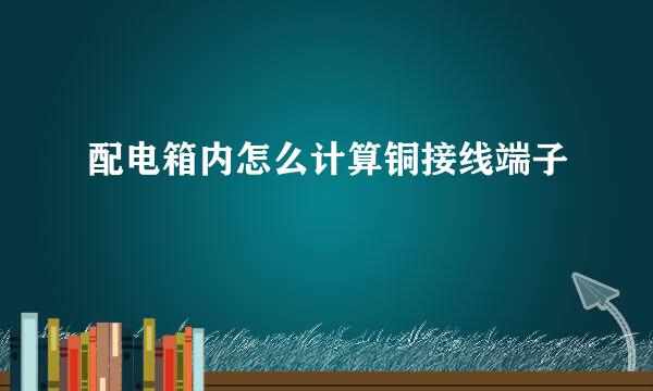 配电箱内怎么计算铜接线端子