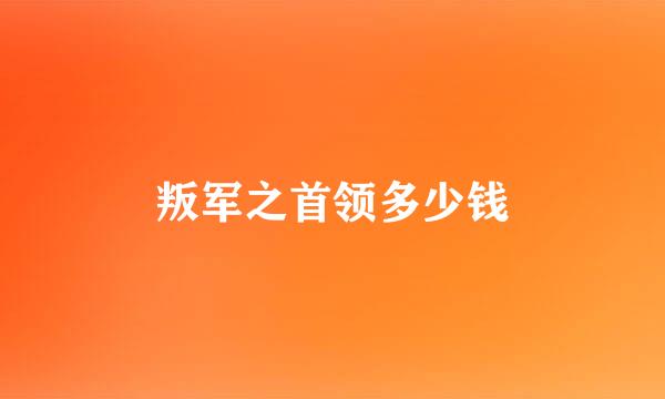 叛军之首领多少钱