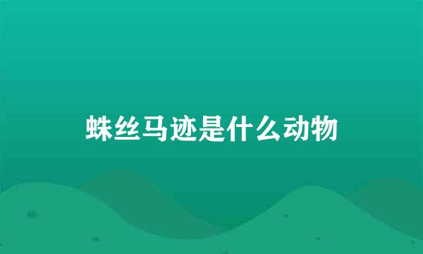 蛛丝马迹是什么动物