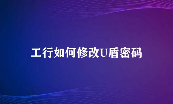 工行如何修改U盾密码