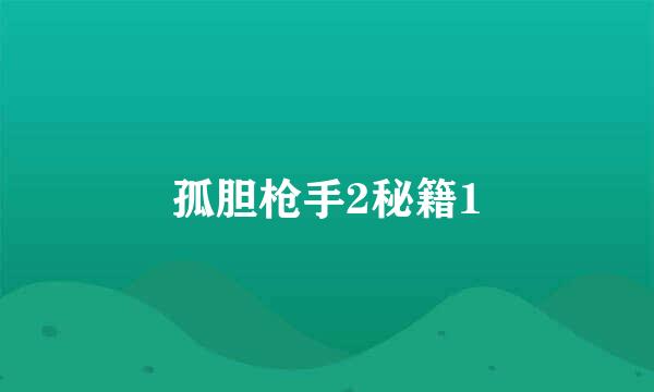 孤胆枪手2秘籍1