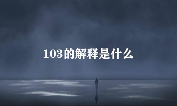103的解释是什么