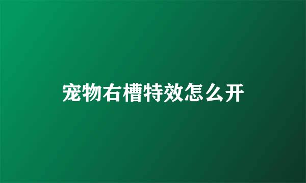 宠物右槽特效怎么开