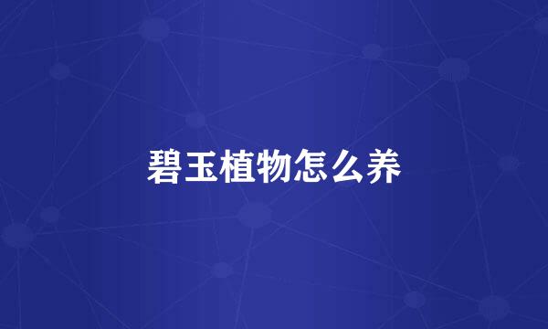 碧玉植物怎么养