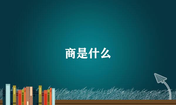 商是什么