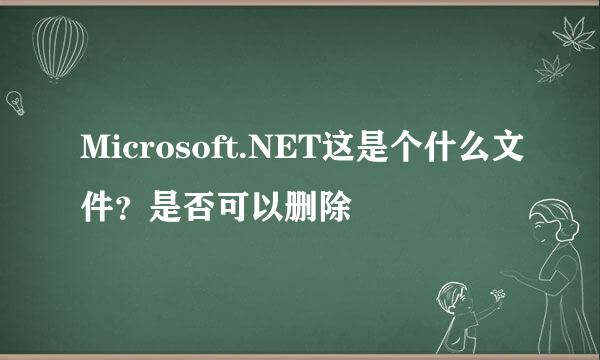 Microsoft.NET这是个什么文件？是否可以删除