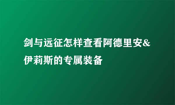 剑与远征怎样查看阿德里安&伊莉斯的专属装备
