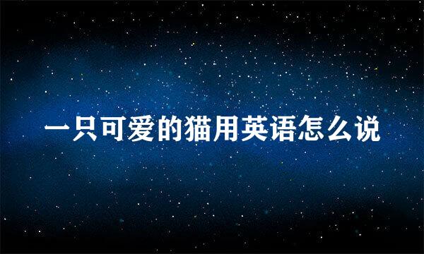 一只可爱的猫用英语怎么说