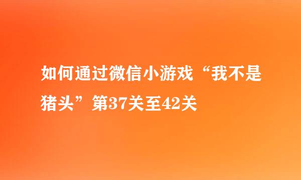 如何通过微信小游戏“我不是猪头”第37关至42关