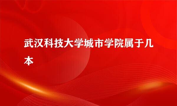 武汉科技大学城市学院属于几本