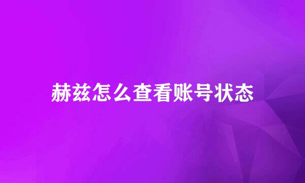 赫兹怎么查看账号状态