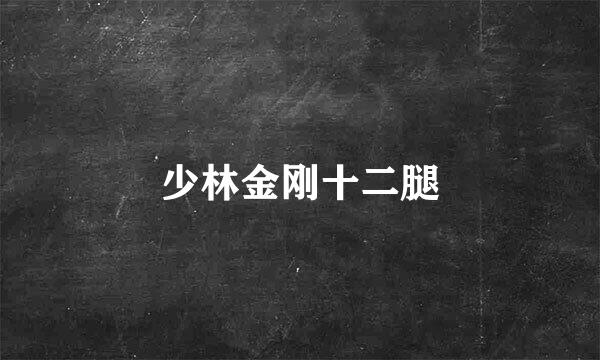 少林金刚十二腿