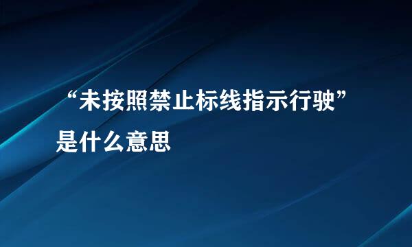 “未按照禁止标线指示行驶”是什么意思