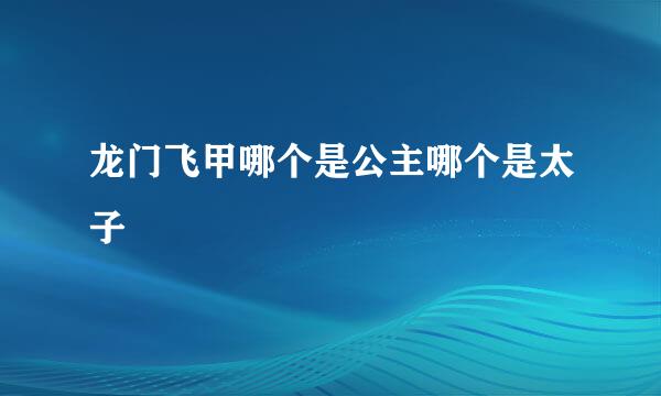 龙门飞甲哪个是公主哪个是太子