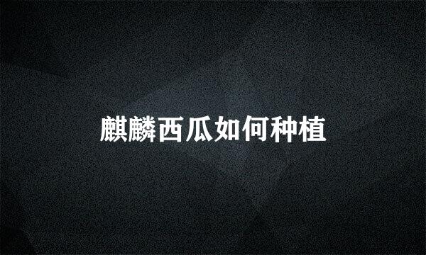 麒麟西瓜如何种植
