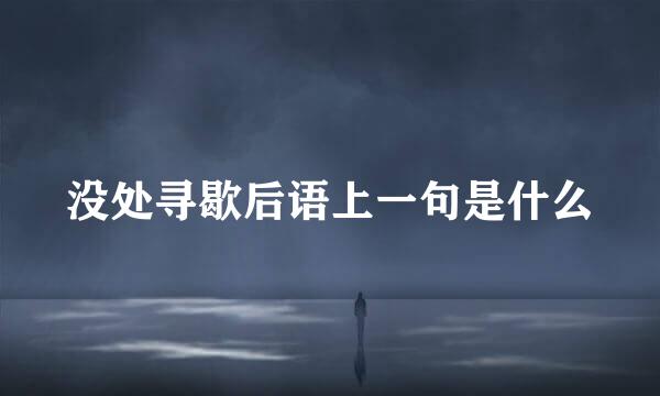 没处寻歇后语上一句是什么