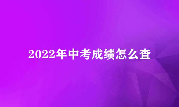 2022年中考成绩怎么查