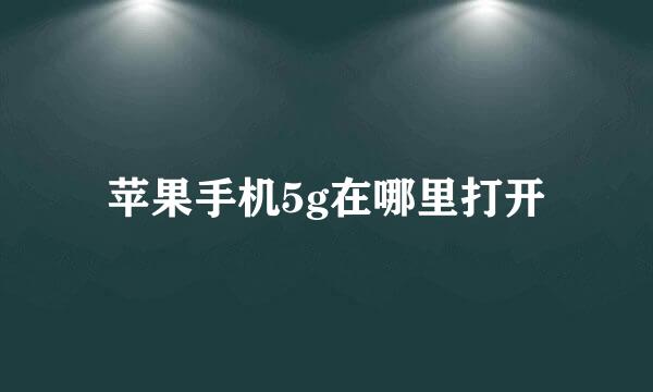 苹果手机5g在哪里打开