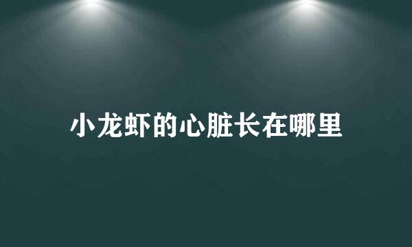 小龙虾的心脏长在哪里
